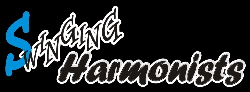 LogoSchwarz3